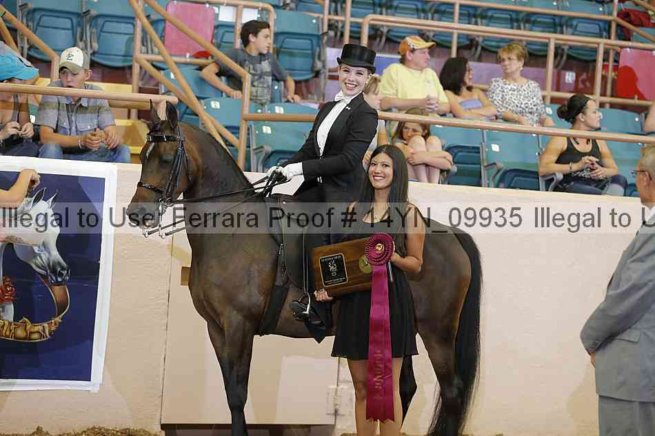 Proof 14yn_09935