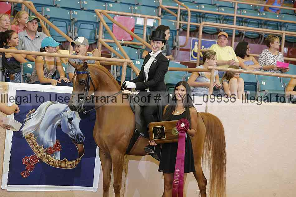 Proof 14yn_09936