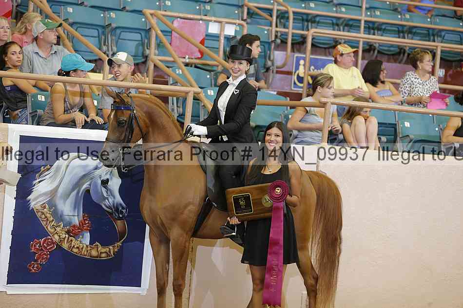 Proof 14yn_09937
