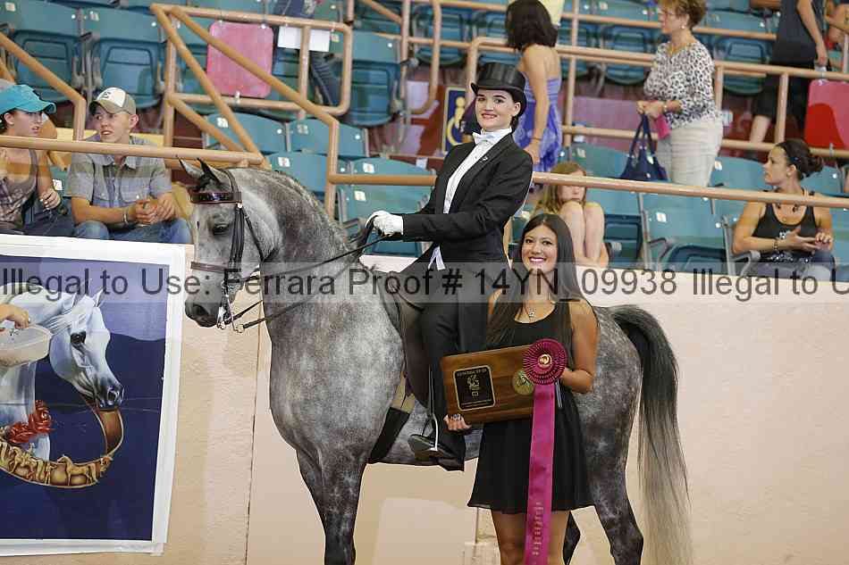 Proof 14yn_09938