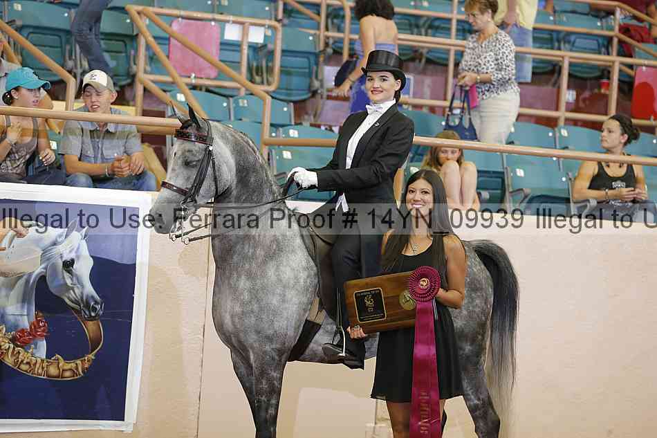 Proof 14yn_09939