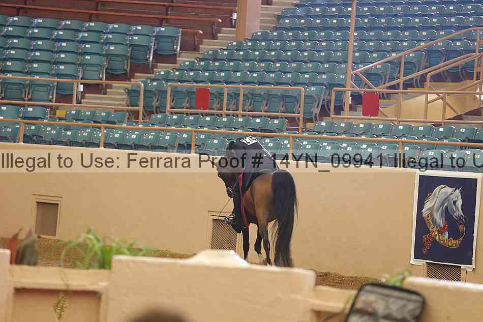 Proof 14yn_09941