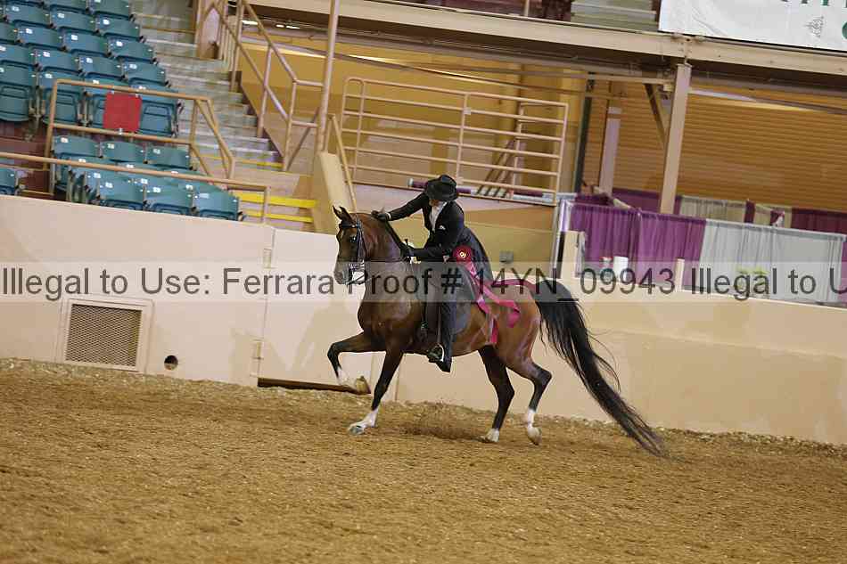 Proof 14yn_09943