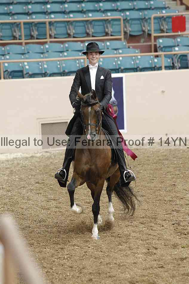 Proof 14yn_09945