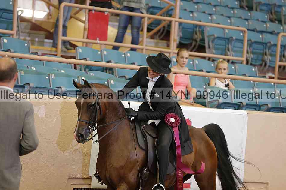 Proof 14yn_09946