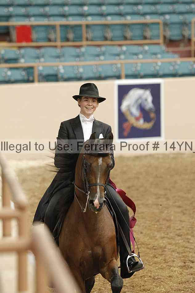 Proof 14yn_09947
