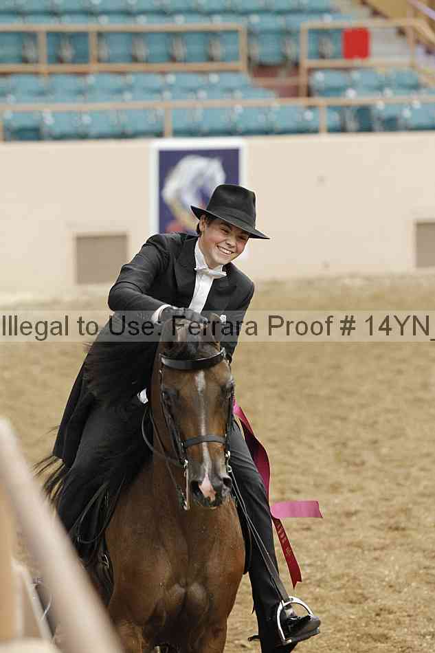 Proof 14yn_09948