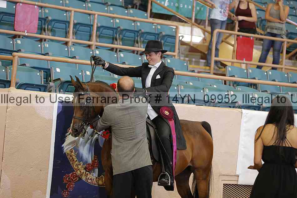 Proof 14yn_09952