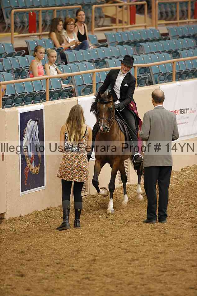 Proof 14yn_09953