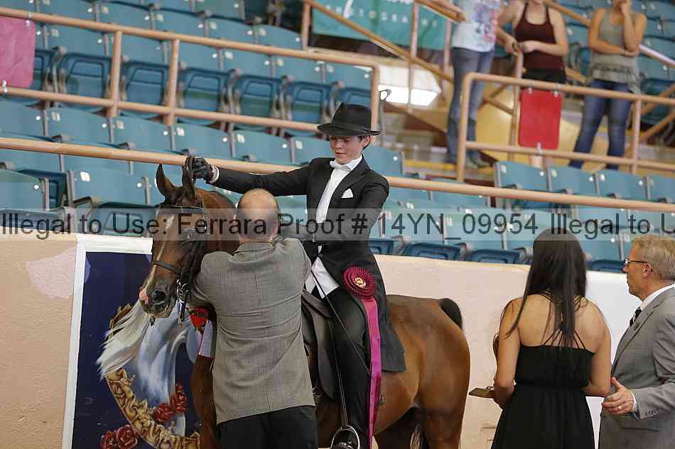 Proof 14yn_09954