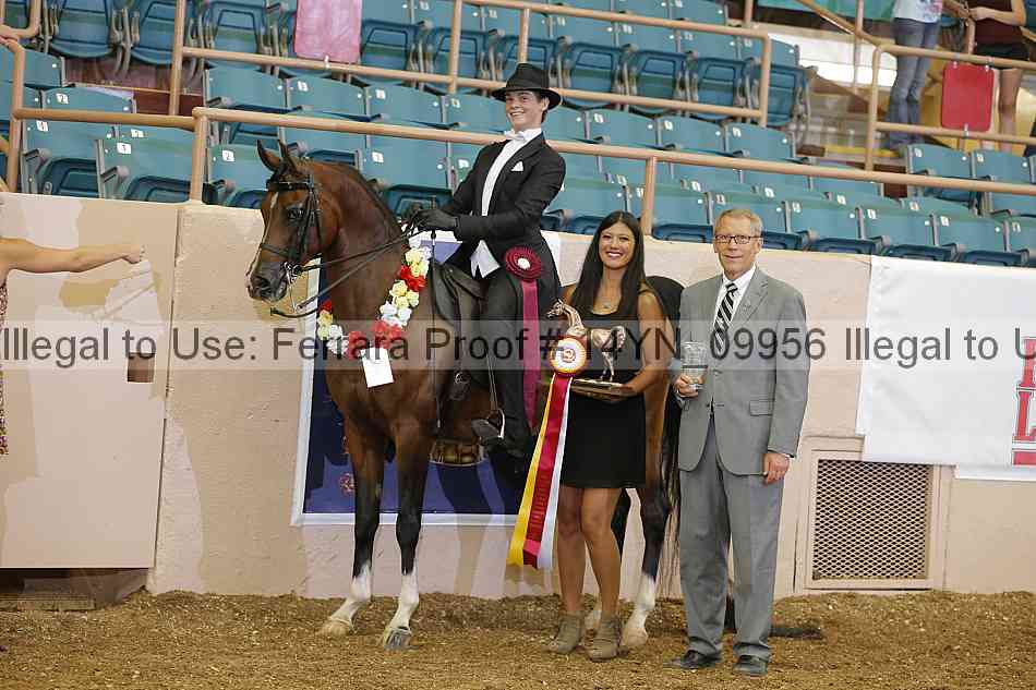 Proof 14yn_09956