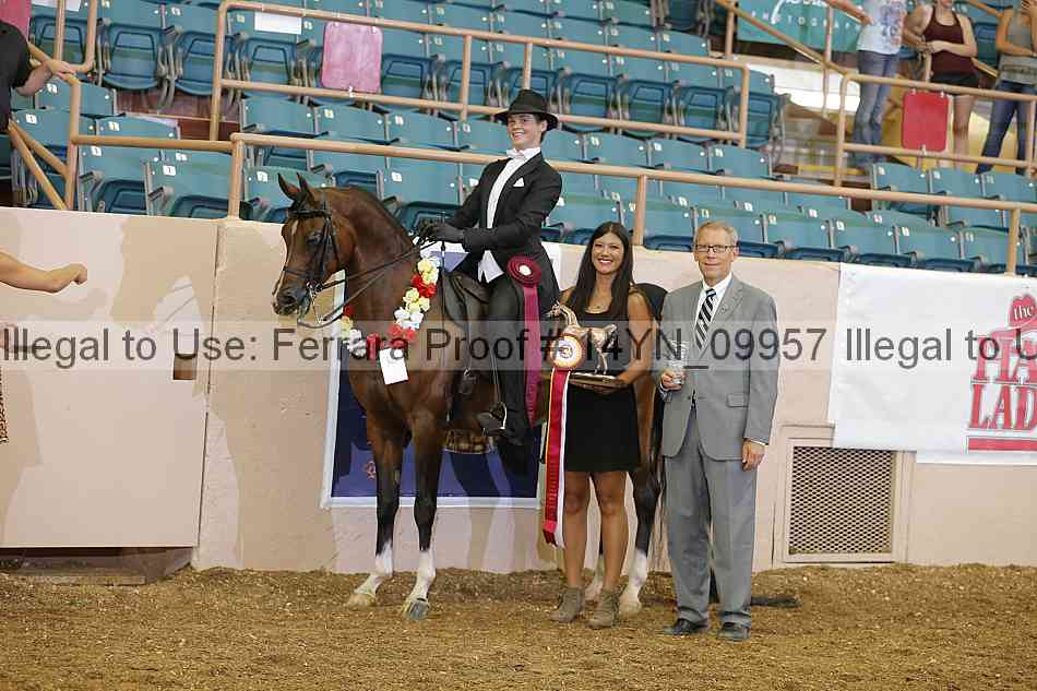 Proof 14yn_09957
