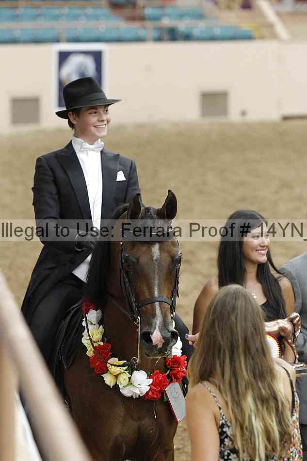 Proof 14yn_09958