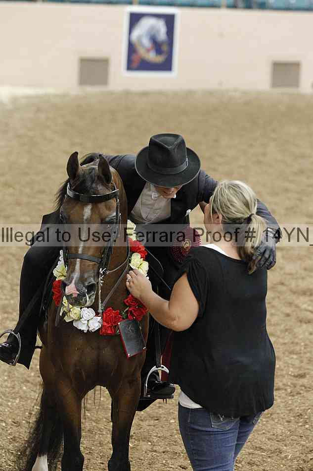 Proof 14yn_09961