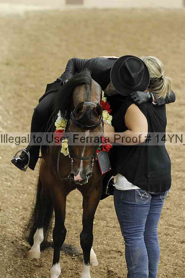 Proof 14yn_09964