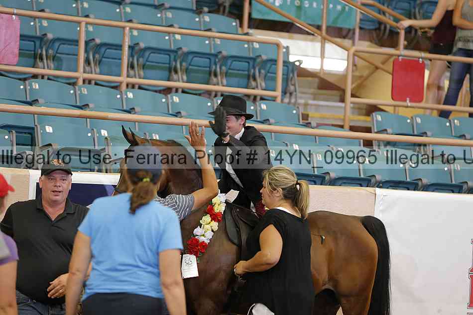 Proof 14yn_09965