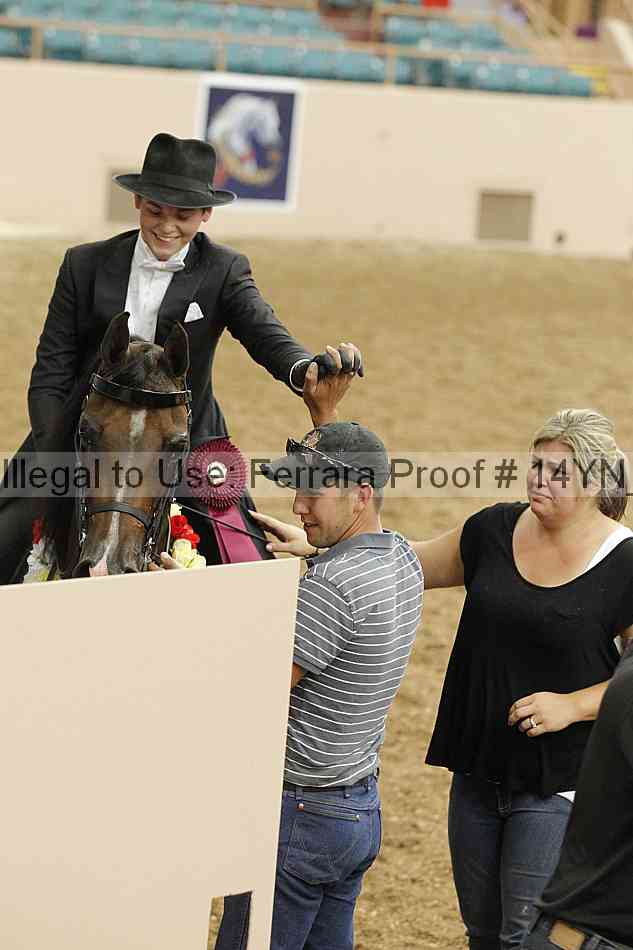 Proof 14yn_09969