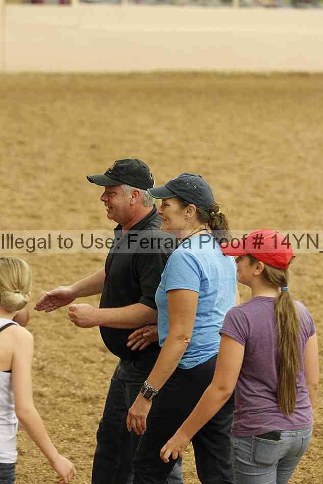 Proof 14yn_09971