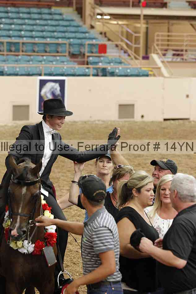 Proof 14yn_09986