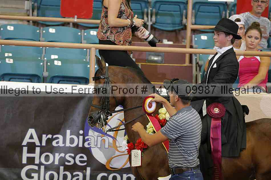 Proof 14yn_09987