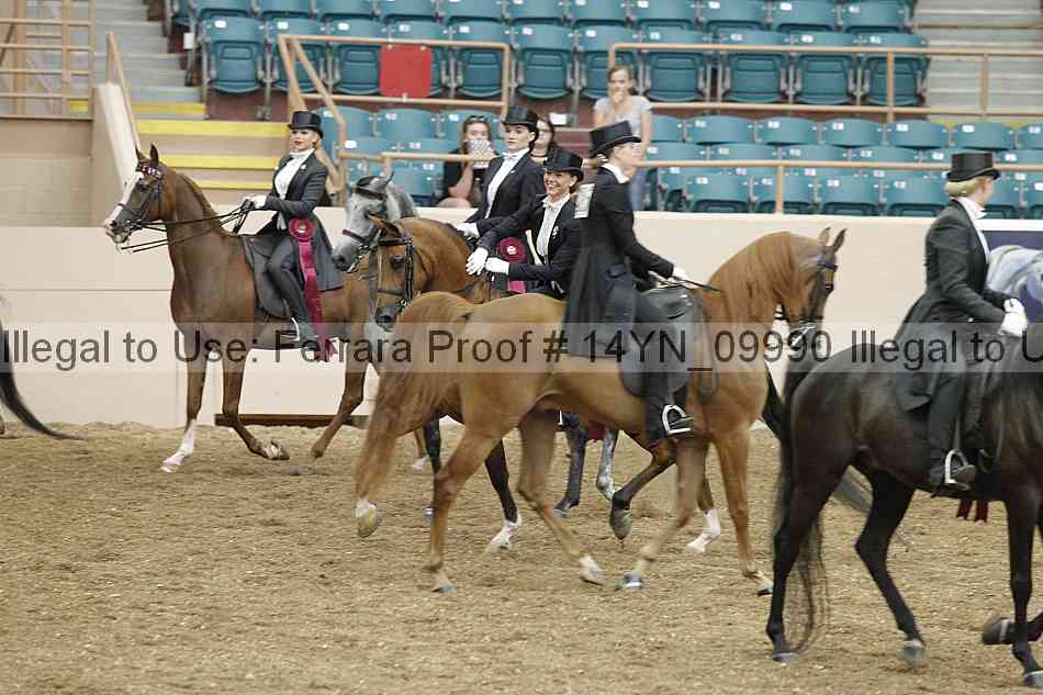 Proof 14yn_09990