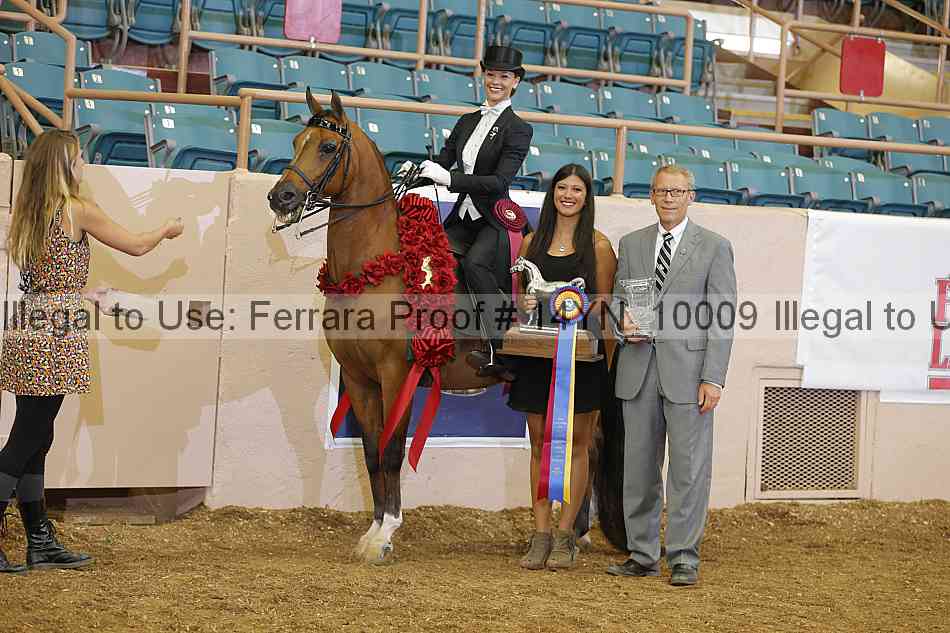 Proof 14yn_10009