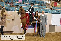 14yn_10009 proof