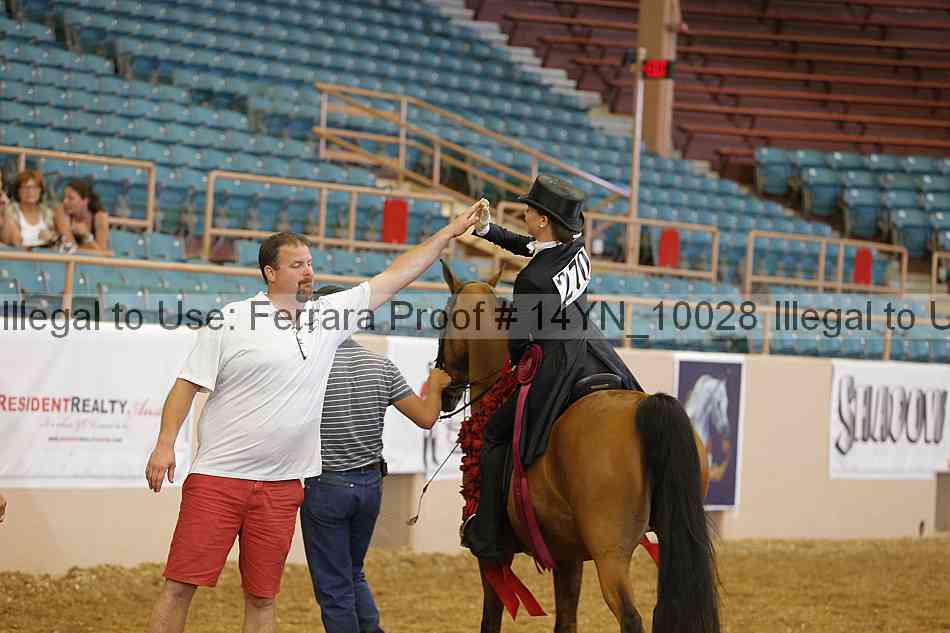 Proof 14yn_10028