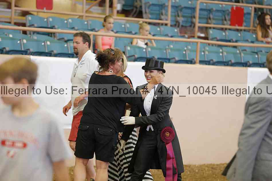 Proof 14yn_10045