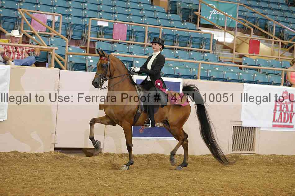 Proof 14yn_10051