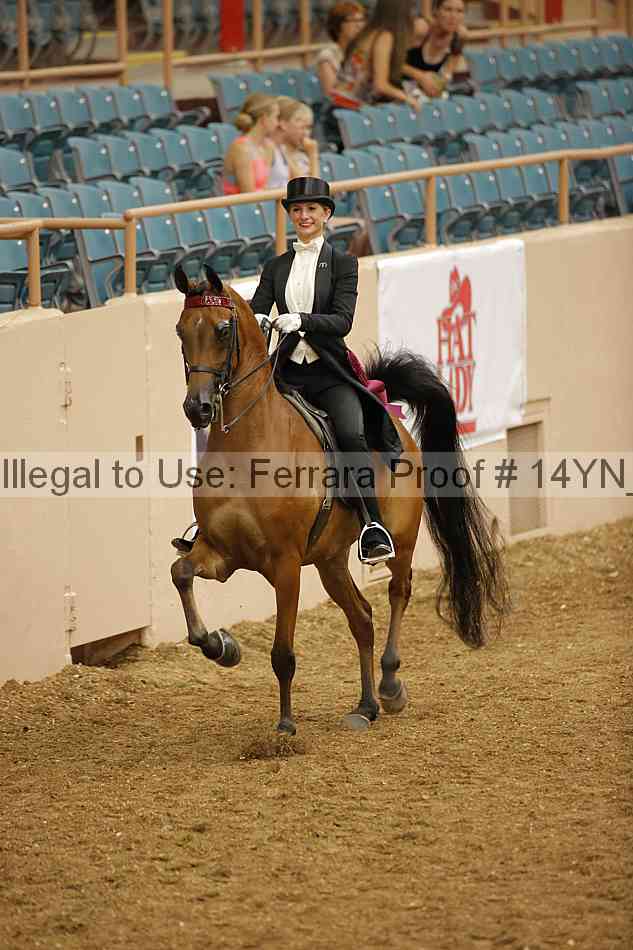 Proof 14yn_10052