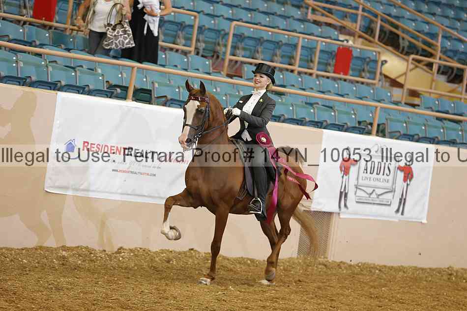 Proof 14yn_10053