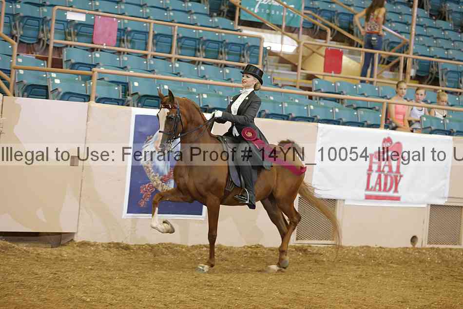 Proof 14yn_10054