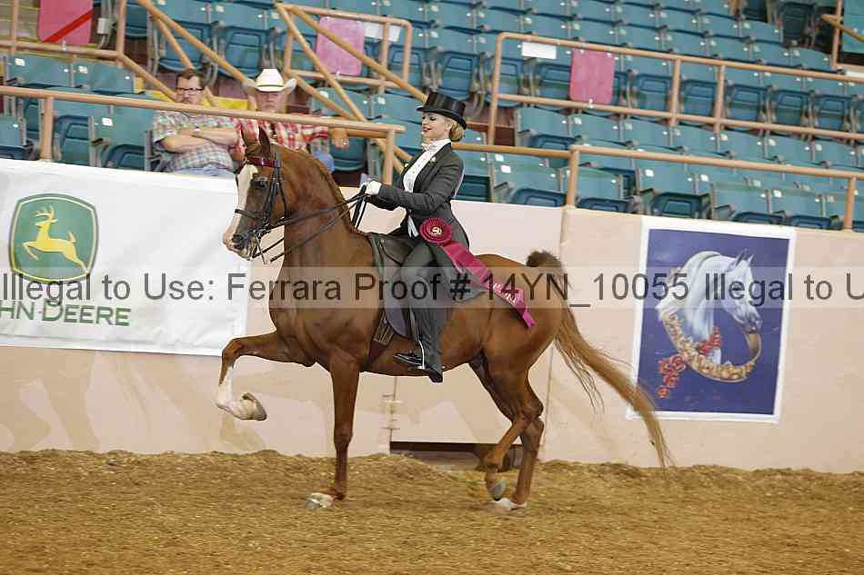 Proof 14yn_10055