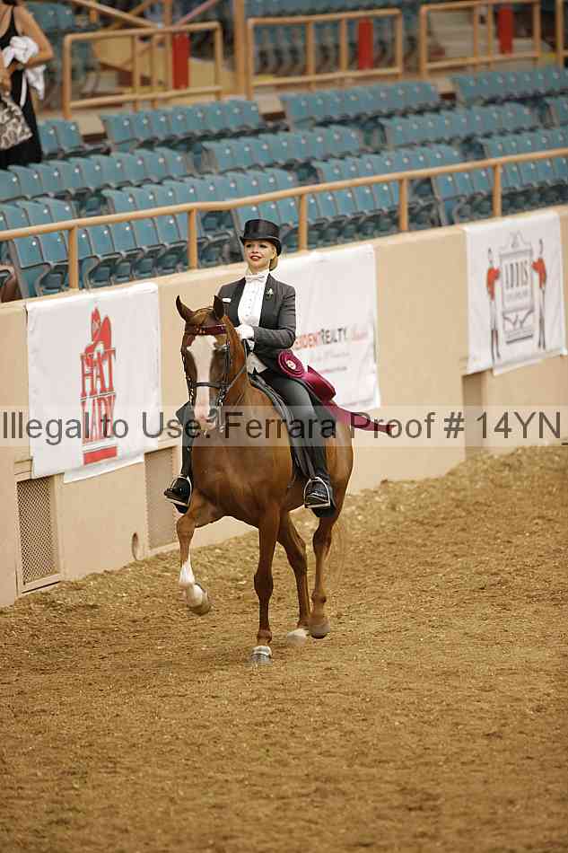 Proof 14yn_10056