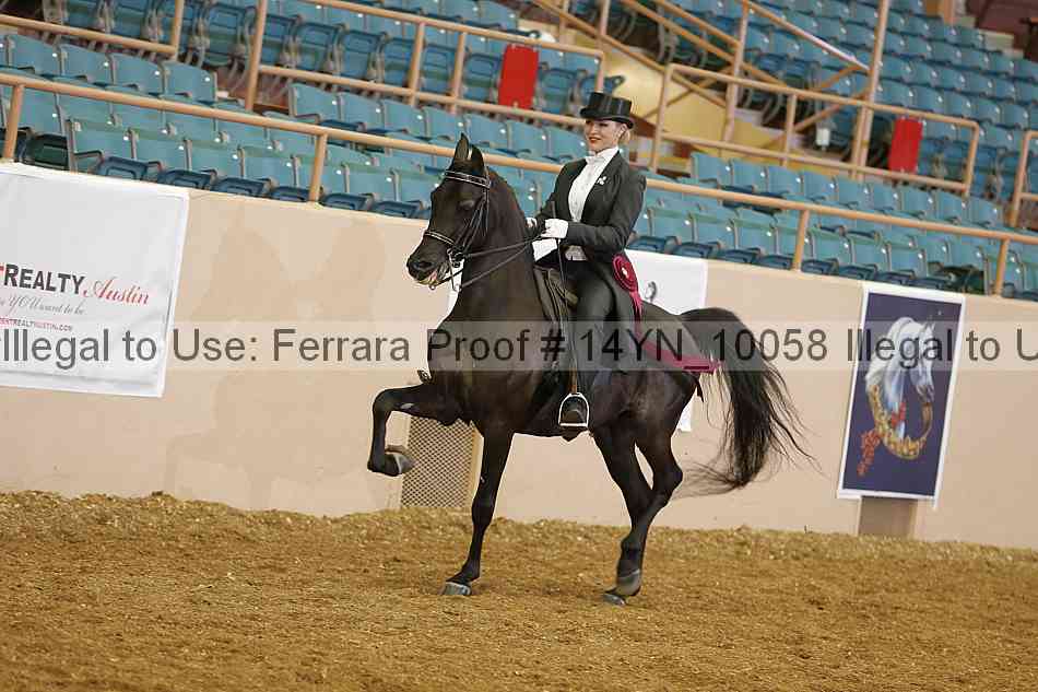 Proof 14yn_10058