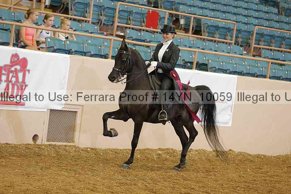 Proof 14yn_10059
