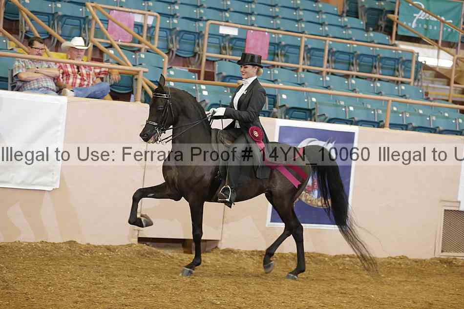 Proof 14yn_10060