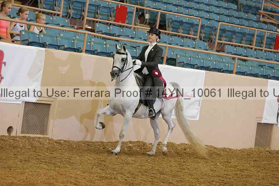 Proof 14yn_10061