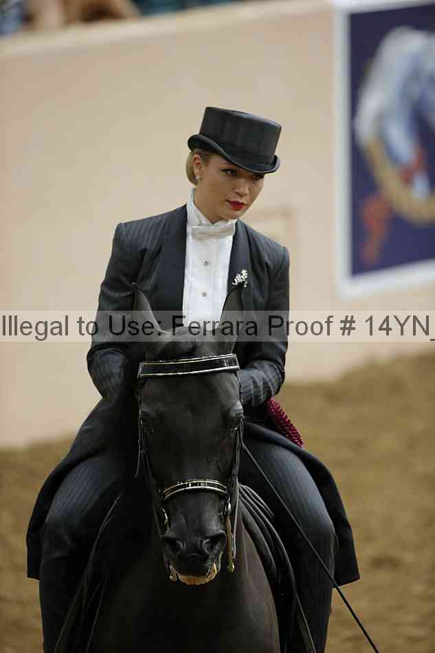 Proof 14yn_10064
