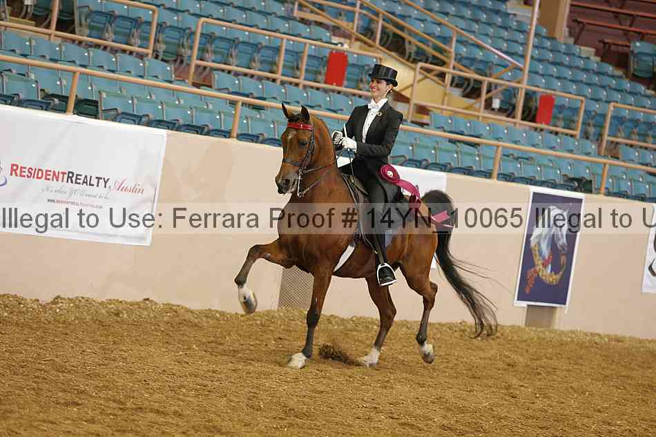 Proof 14yn_10065