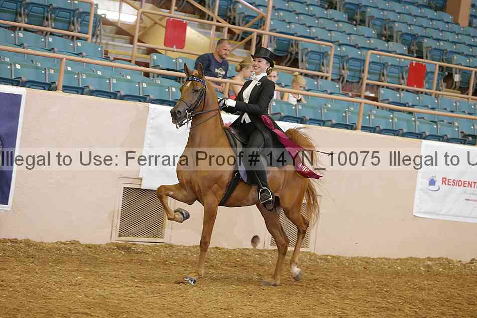 Proof 14yn_10075