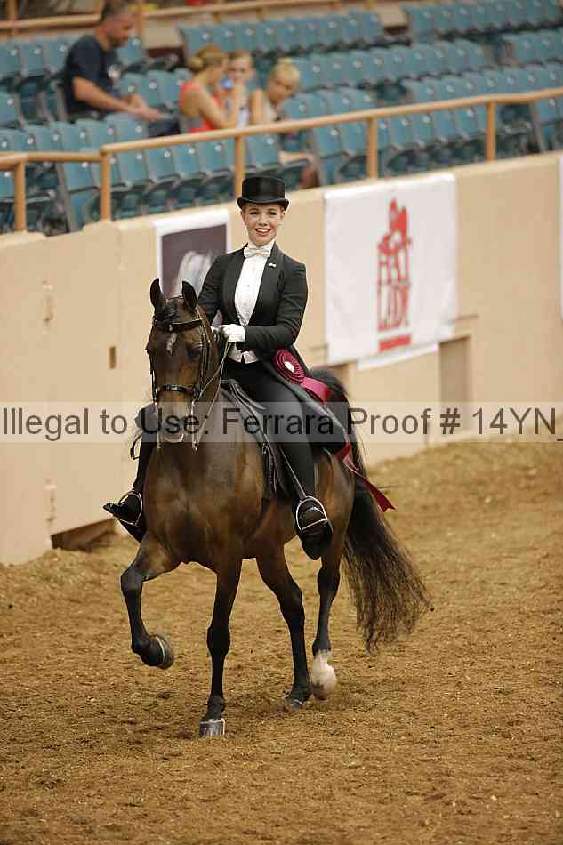 Proof 14yn_10076