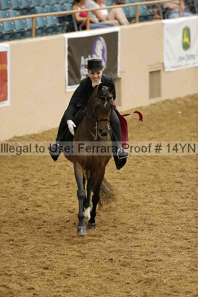 Proof 14yn_10077