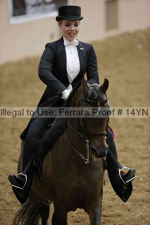 Proof 14yn_10079