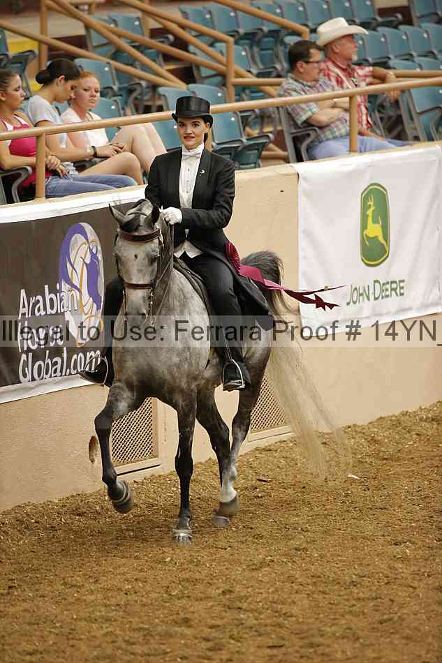 Proof 14yn_10085