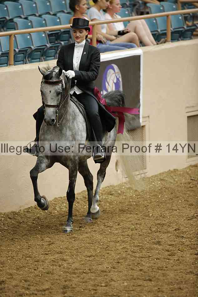 Proof 14yn_10086