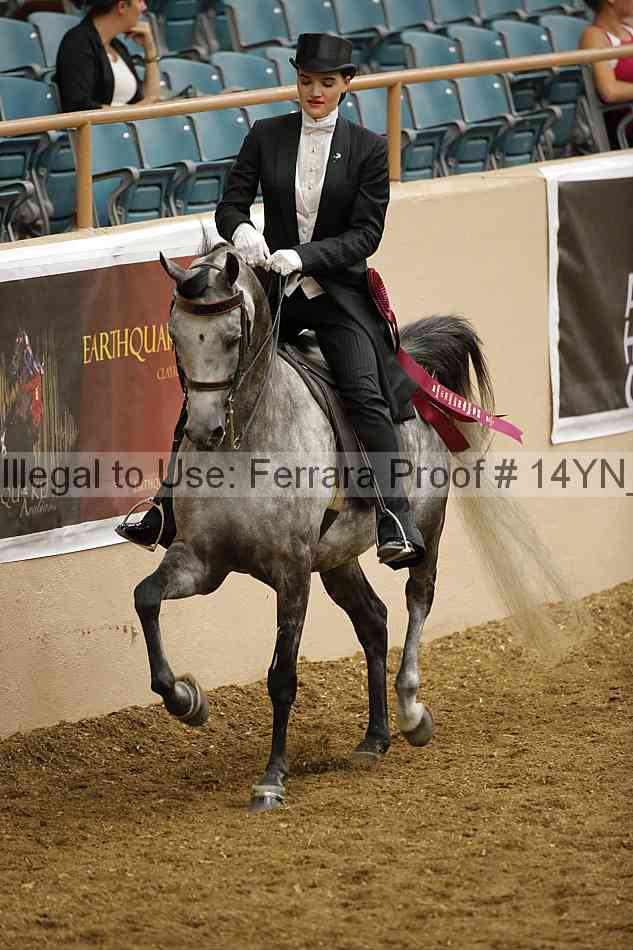 Proof 14yn_10087