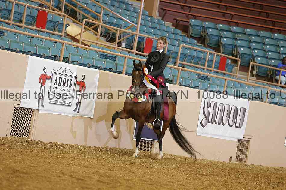 Proof 14yn_10088