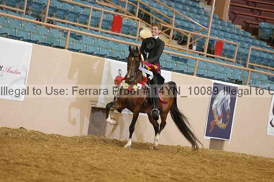 Proof 14yn_10089